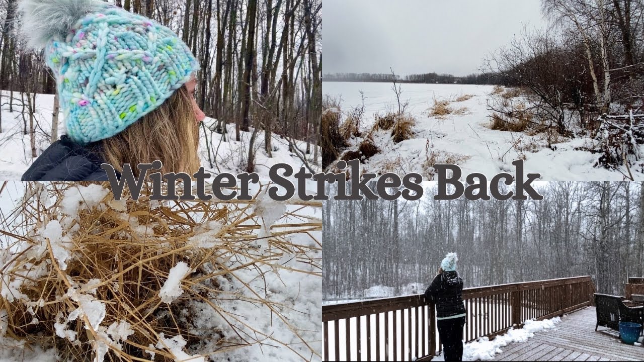 Winter Strikes Back | Snow returns to Alberta | Cozy day with Canadian ...