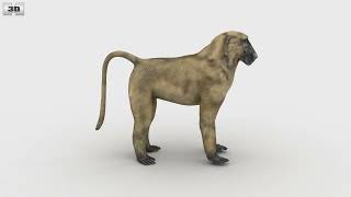 Baboon Low Poly 3D model by 3DModels.org