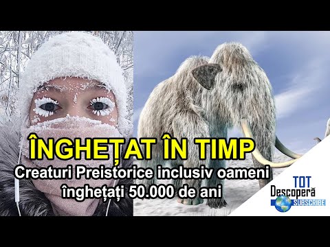 Video: 4 Excursii De O Zi Incredibilă Din Vegas Care Te Vor Scoate Din Fâșie