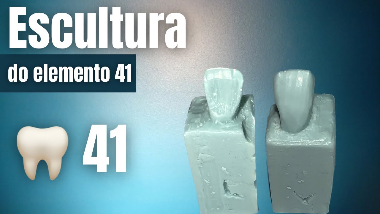 Escultura do dente 41
