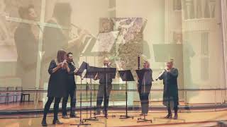 Stanciu: "Fantasia Portrait" Suite for Woodwind Quintet