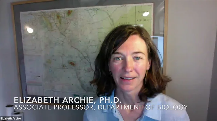 Meet Elizabeth Archie | Neuroscience and (Your) Be...