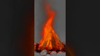 Campfire | Maya Fluids | Ankit Nandgave | #shortsfeed #viral #shorts