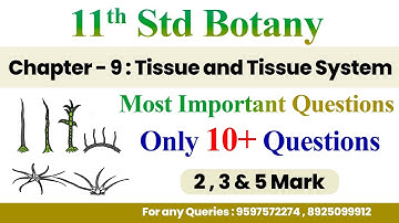 11th Std Botany | Chapter - 9 | Most Important Questions | Only 10+ Questions - Public Centum Plan