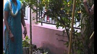 SDV_0571.MP4