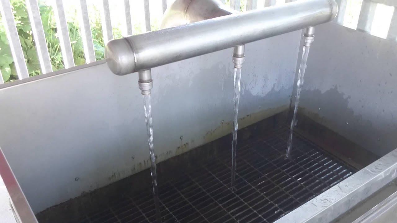 Elmvale natural spring, Ontario, Canada. YouTube