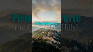 Ultimate Shimla guide #shimla #shimlavlog #travel #mountains #travelguide #traveltips #travelindia