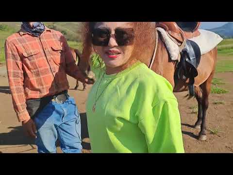 BUKIDNON TOURISM✨️