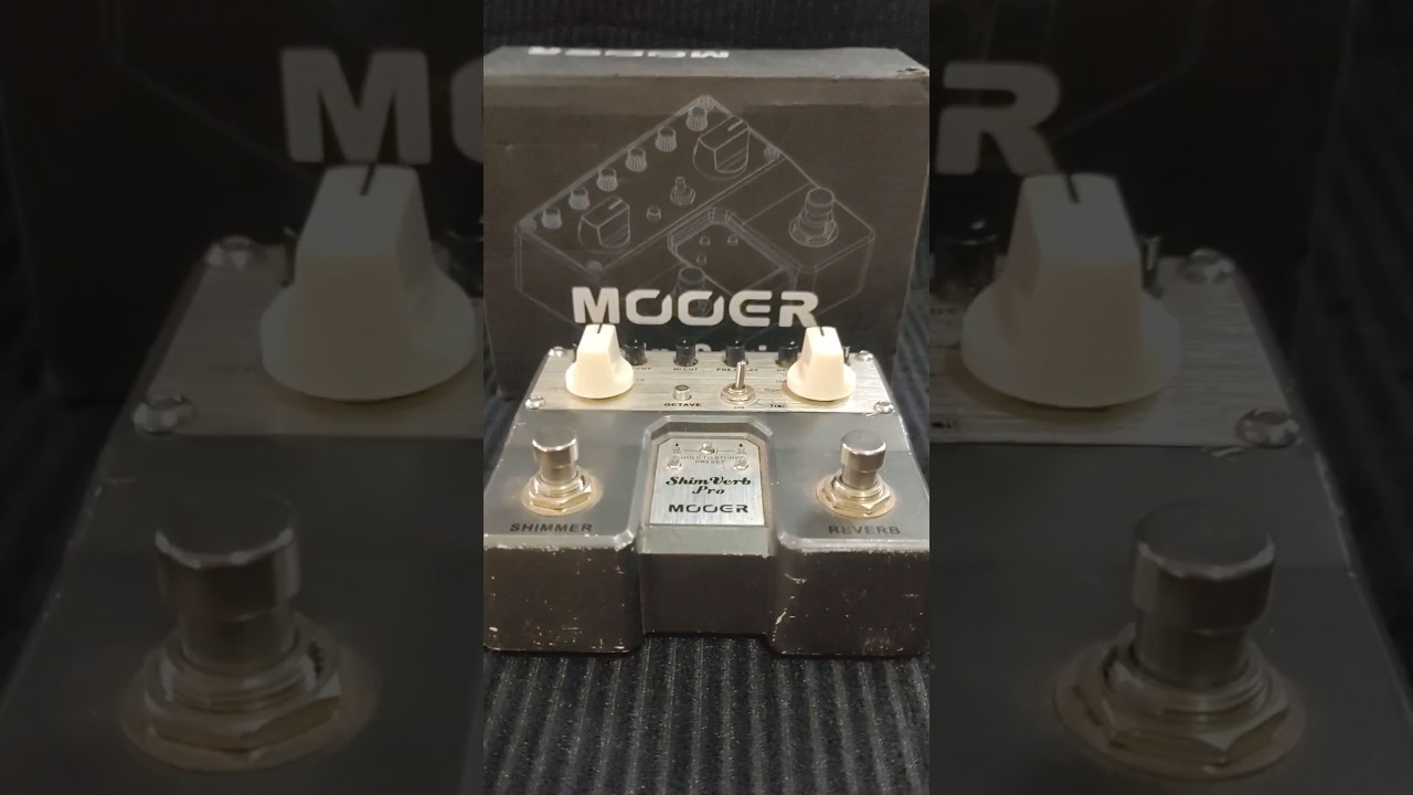 MOOER SHIMVERB PRO TWIN SERIES - YouTube