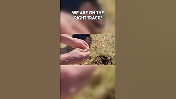 If we can find THIS COIN we can find SILVER #metaldetecting #noktalegend #equinox800