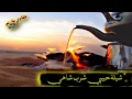 شيلة حبيبي شرب شاهي بنعناع