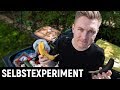 7 Tage keine Lebensmittel verschwenden - Das Selbstexperiment