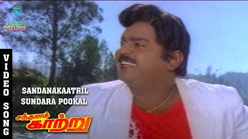 Sandanakaatril Sundara Pookal Video Song- Sandhana Kaatru | Vijayakanth | Gouthami | SPB |Manivannan