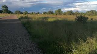 Stands for sale in Burnside Bulawayo East