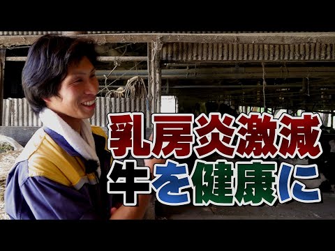 乳房炎を減らし牛を健康に飼う！デイリーネットワーク【第９０回】