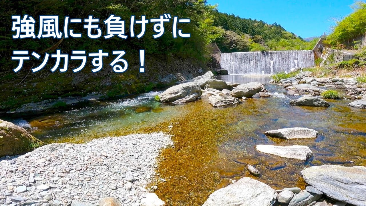 強風でもあきらめずに、テンカラで釣る！【渓流釣り】