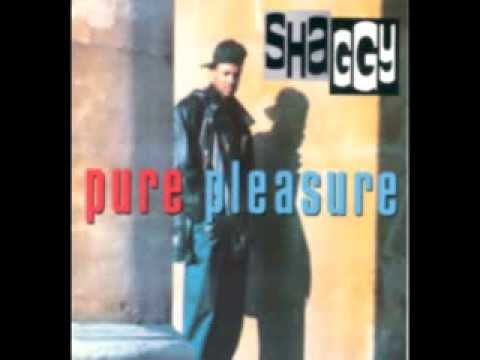 It Bun Me - Shaggy