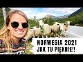 JAK TU PIĘKNIE! NORWEGIA 2021 💚 Co warto zobaczyć w trzy dni? Podróż na własną rękę