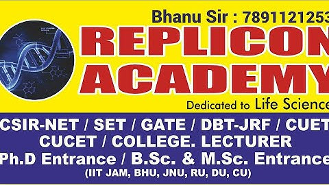 A Sneak Peek Inside the Incredible Replicon Academy - What These Students Think Will Shock You!