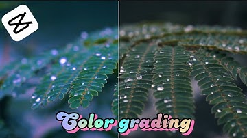 Color grading video in capcut tutorial 2024