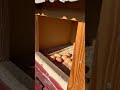 Thanks Gals!! 🐓🐓🐓🐓