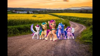 Пять замечательных поней (Five Little Ponies)
