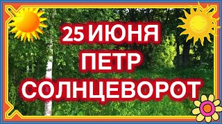 25 июня Пётр Солнцеворот, Пётр-поворот, Капустник