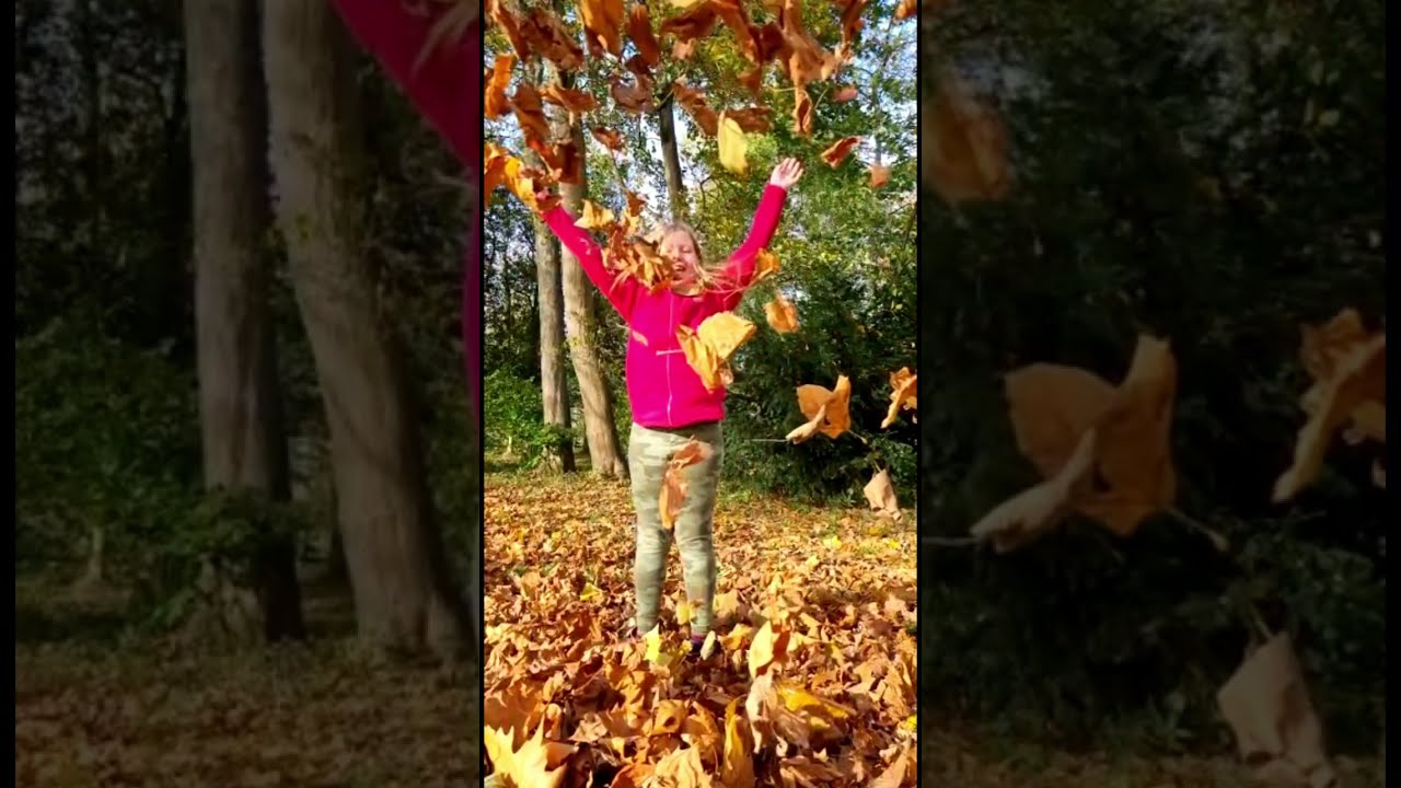Autumn Fun