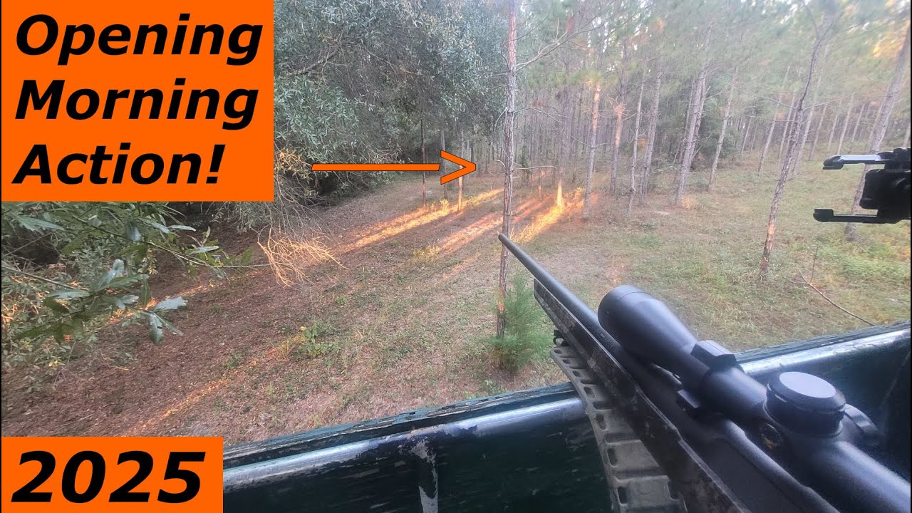 Безумное зрелище в день открытия сезона! Охота на оленей во Флориде в 2025 году.