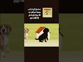 اذا جبتها رح اعمل لك فولو اكتب في التعليقات🤯🤯