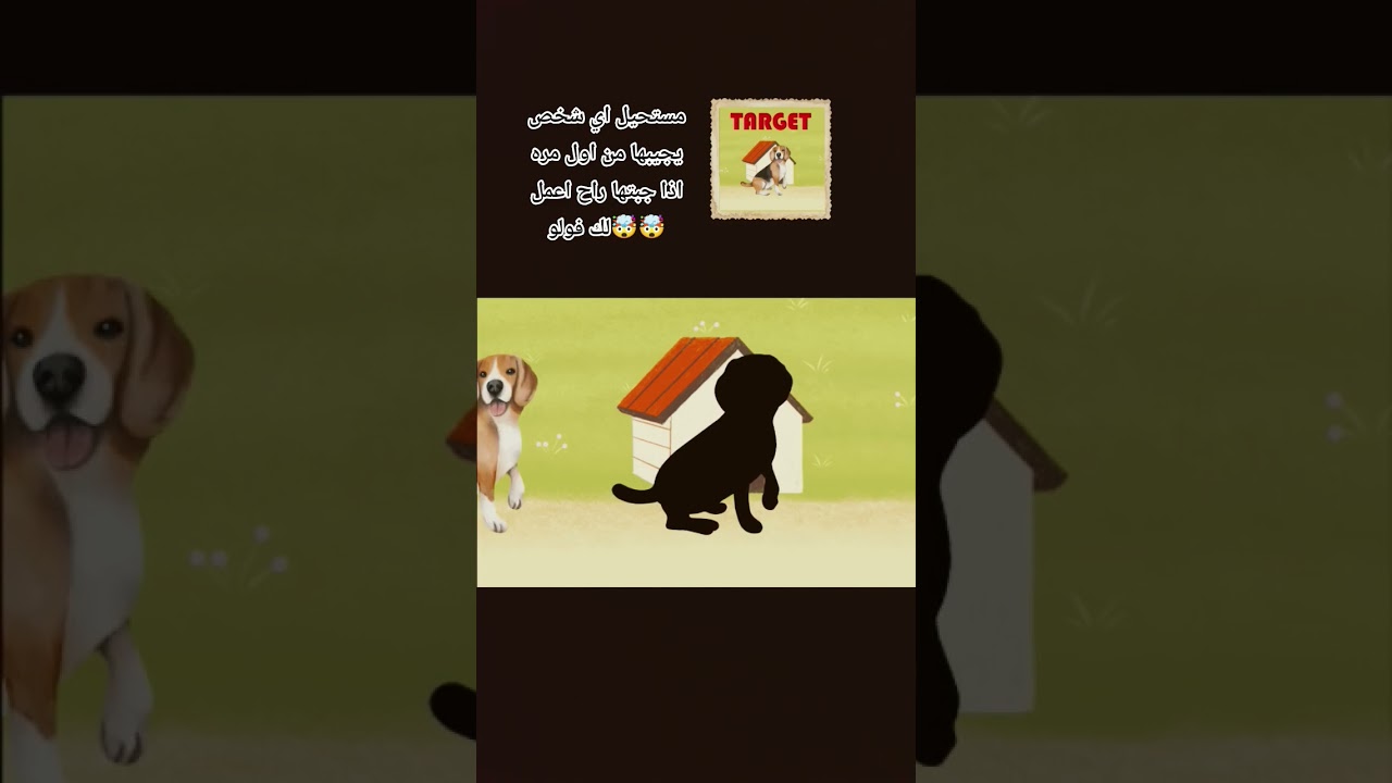 اذا جبتها رح اعمل لك فولو اكتب في التعليقات🤯🤯