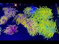 Full Reefapalooza Chicago 2019 Coverage & Discussion