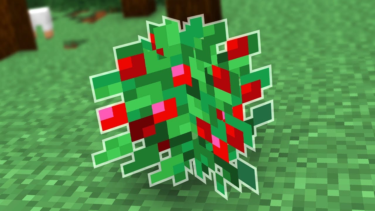 All About the Sweet Berry Bush in Minecraft - YouTube