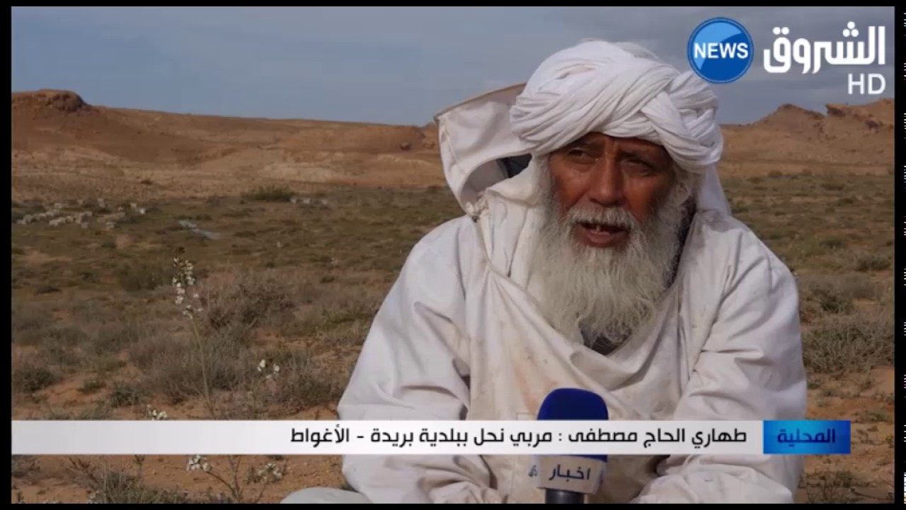 الأغواط: مربو النحل ببلدية بريدة ينطلقون في عملية ترحيل و تقسيم خلايا النحل