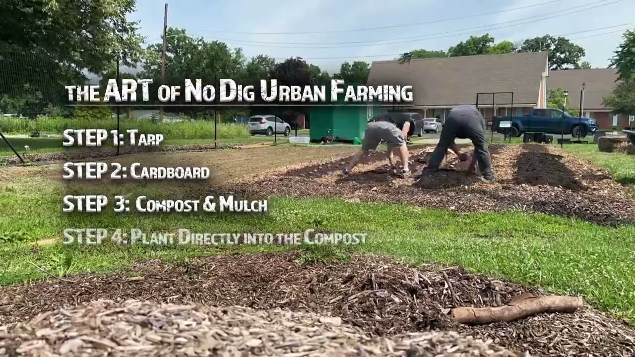 The Art of No Dig Urban Farming