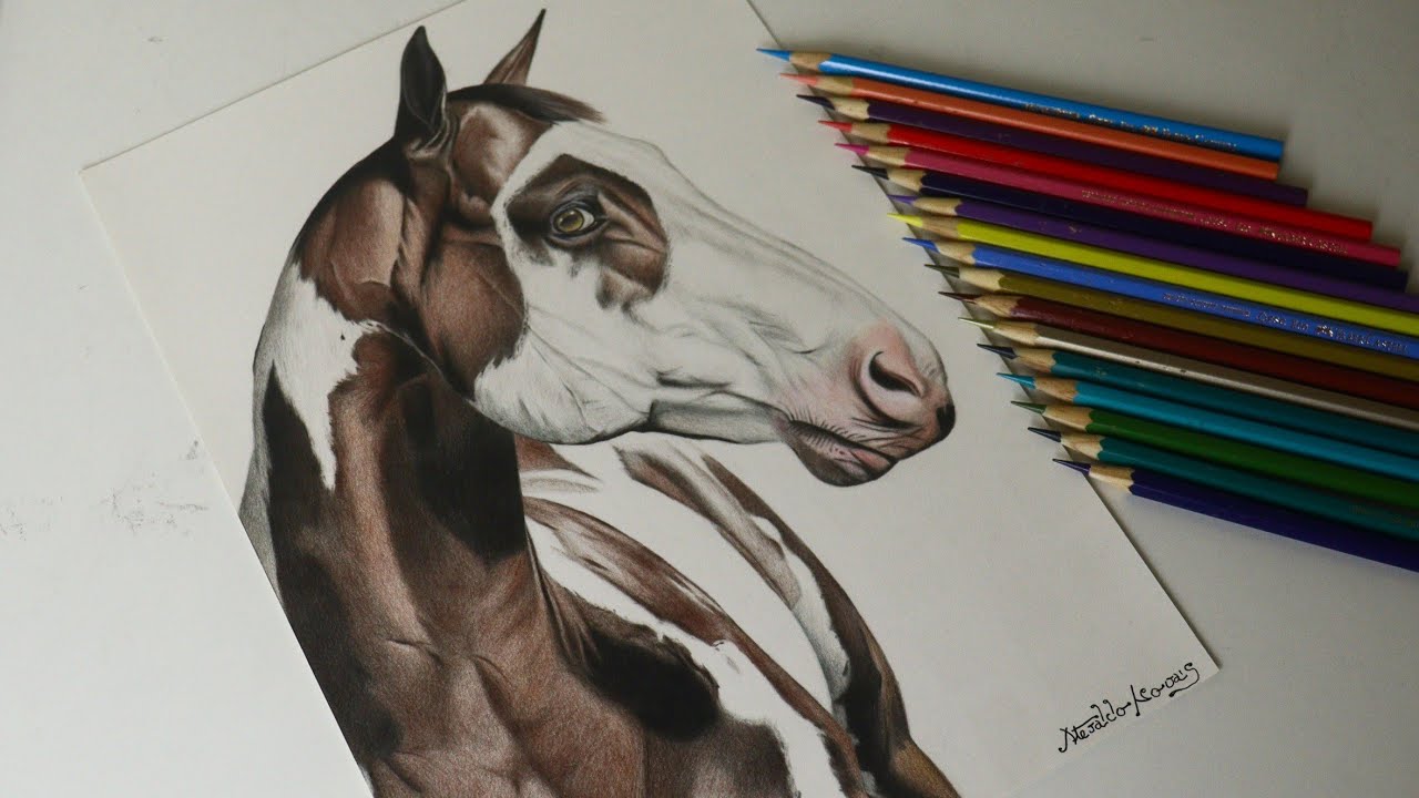 Como desenhar um cavalo com lápis de cor