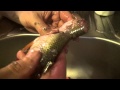Как почистить рыбу / How to gut clean fish