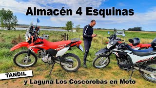Almacén 4 Esquinas - Azucena - Tandil y Laguna Los Coscorobas