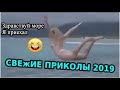 СМЕХ ДО СЛЕЗ | Gifs With Sound | ПРИКОЛЫ 2019 МАЙ #30