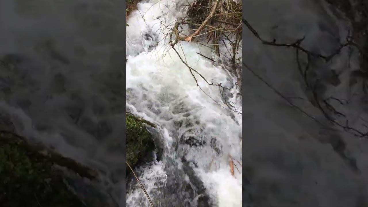 Nature water forest countryside