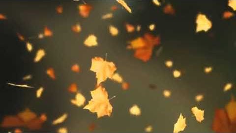 Falling Autumn Leaves Background loop 2 Read Desc