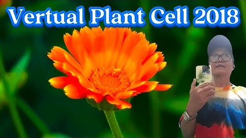 Virtual Plant Cell 2018@JLineTV #virtual reality          #plant research #science visualization#bio