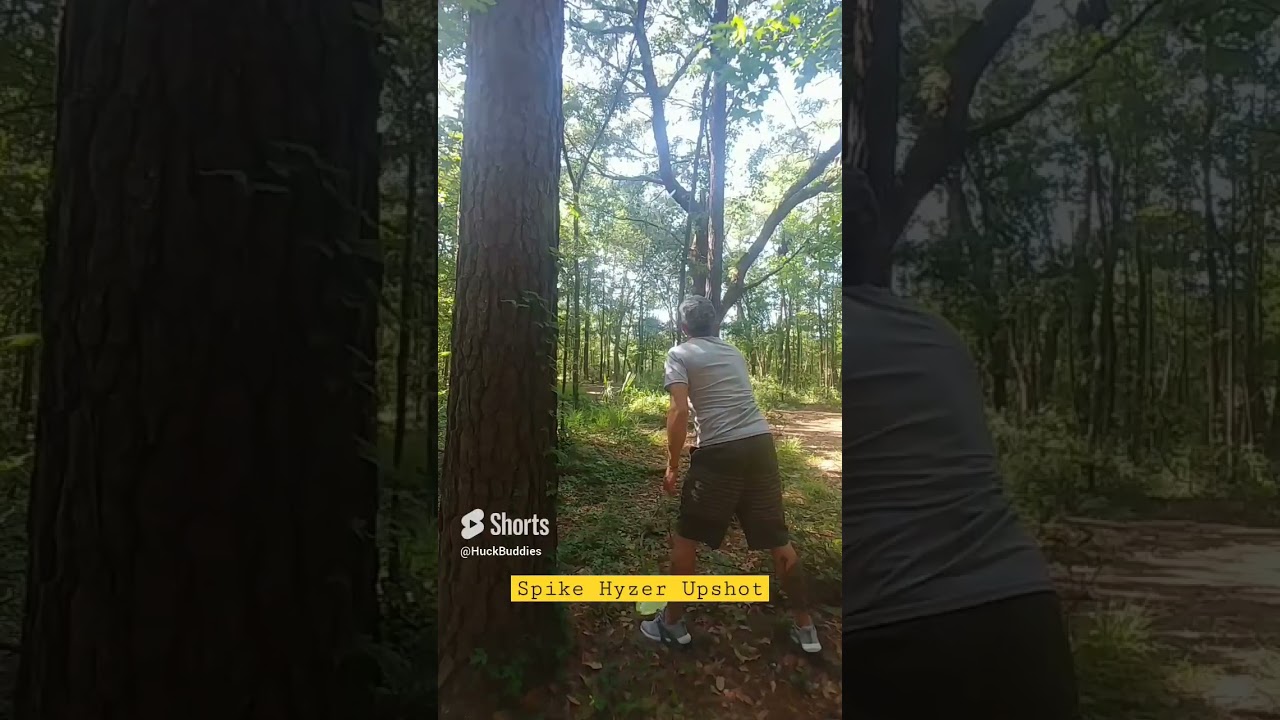 Disc Golf Spike Hyzer JIC DGC S.C. Hole 2 Play Through 