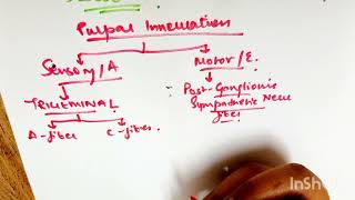 Structure and function of dental pulp | Endodontic series 1|