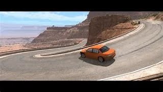 Different Types of players in Beamng.drive