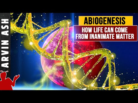 زندگی کیسے شروع ہوئی؟ Abiogenesis. غیر جاندار مادے سے زندگی کی ابتدا۔