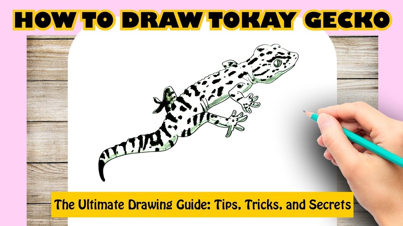 Hpw to draw TOKAY GECKO - YouTube