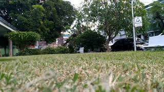 Random grass session