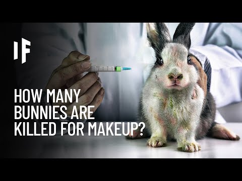 Video: Tester rusk på dyr?