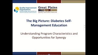 The Big Picture of Diabetes Self-Management Education